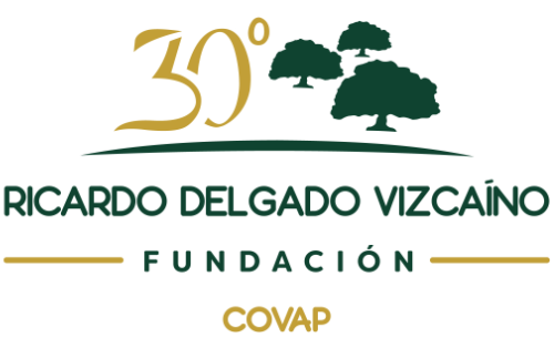 Fundación Ricardo Delgado Vizcaíno