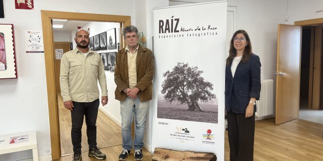 “Raíz”, de Álvaro de la Rosa