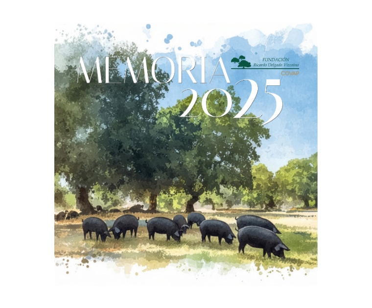 Memoria de actividades 2025