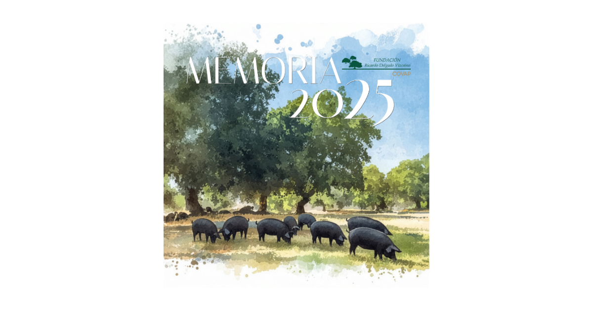 Memoria de actividades 2025