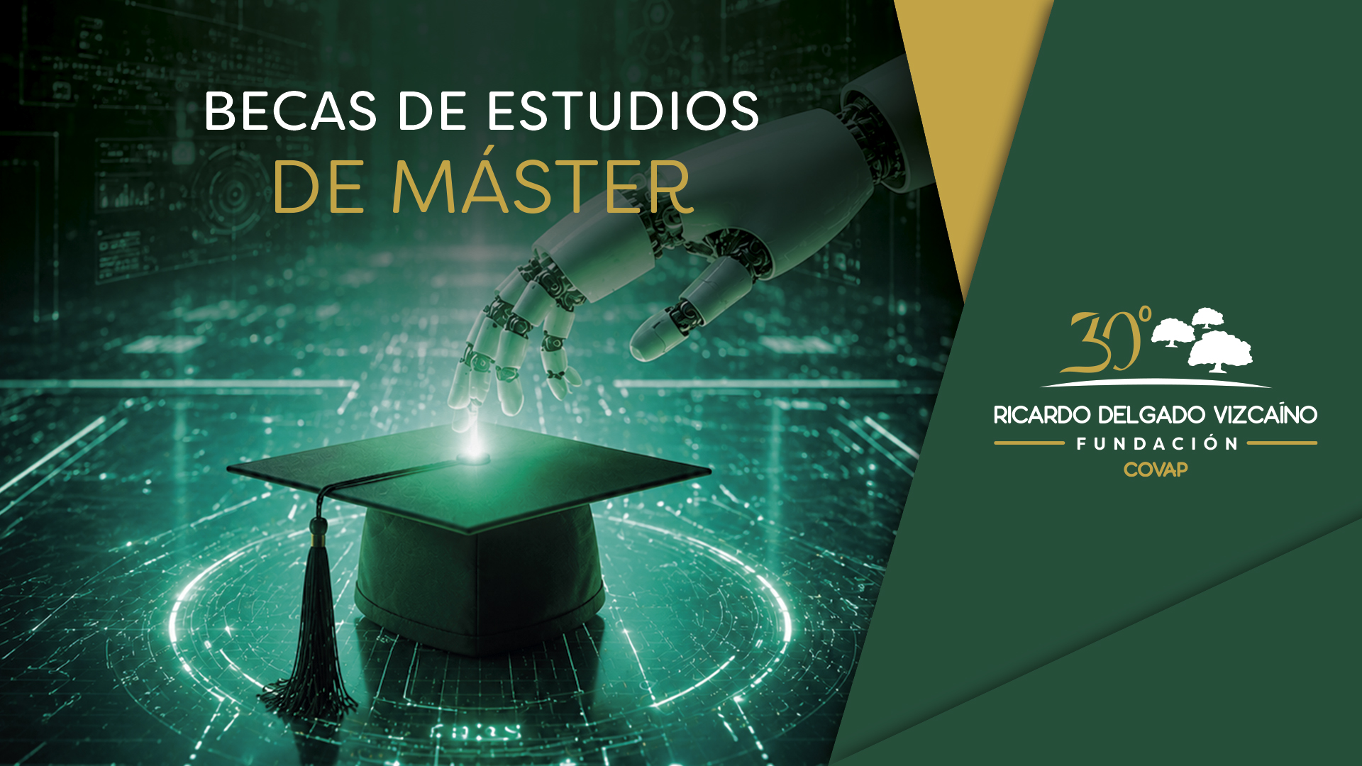 Becas de Estudio de Máster